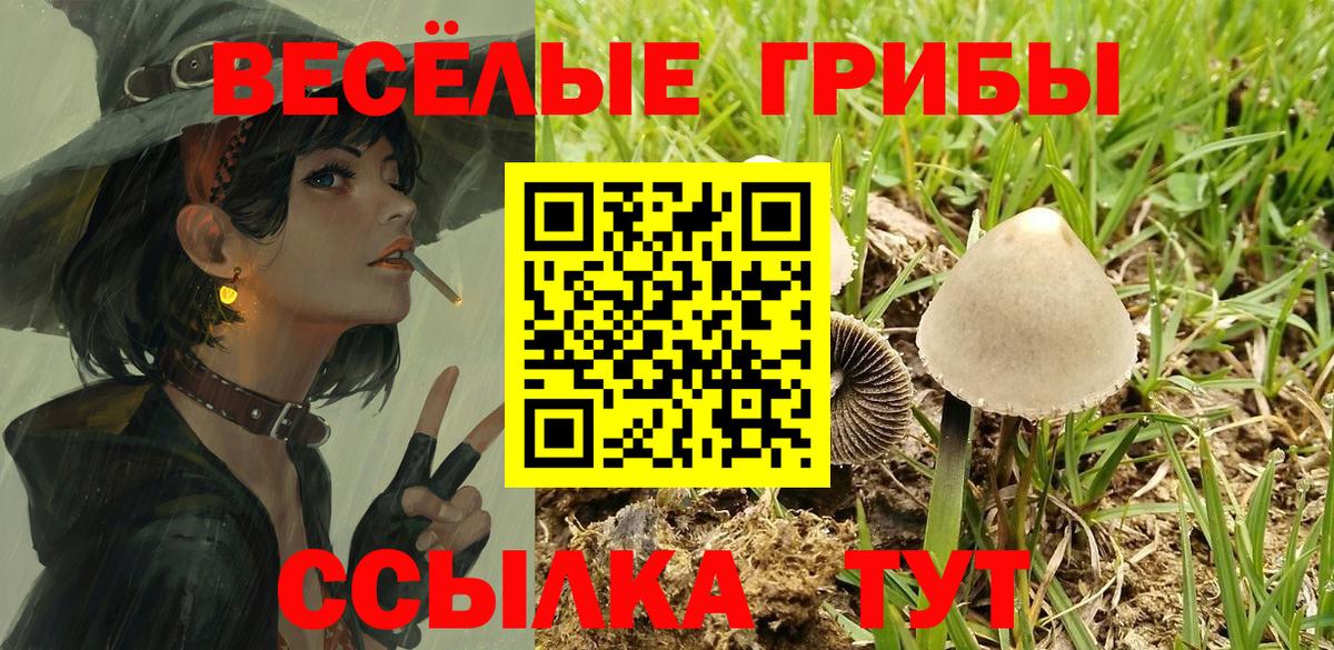 Галлюциногенные грибы Magic Shrooms  Вход с VPN  Кубинка  Галлюциногенные грибы Psilocybine cubensis 